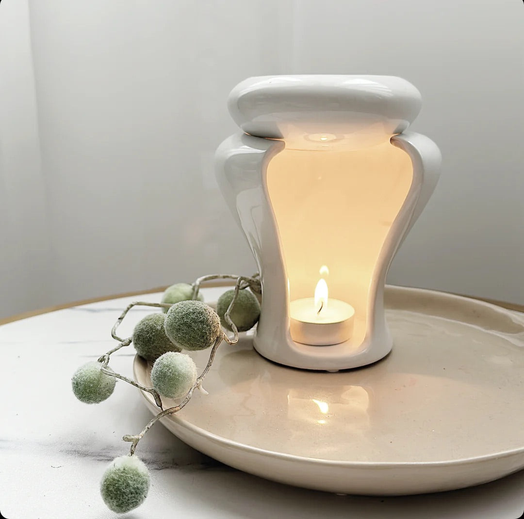 Gift bag - plus earrings - plus wax melts (Black plum and Rahubarb)