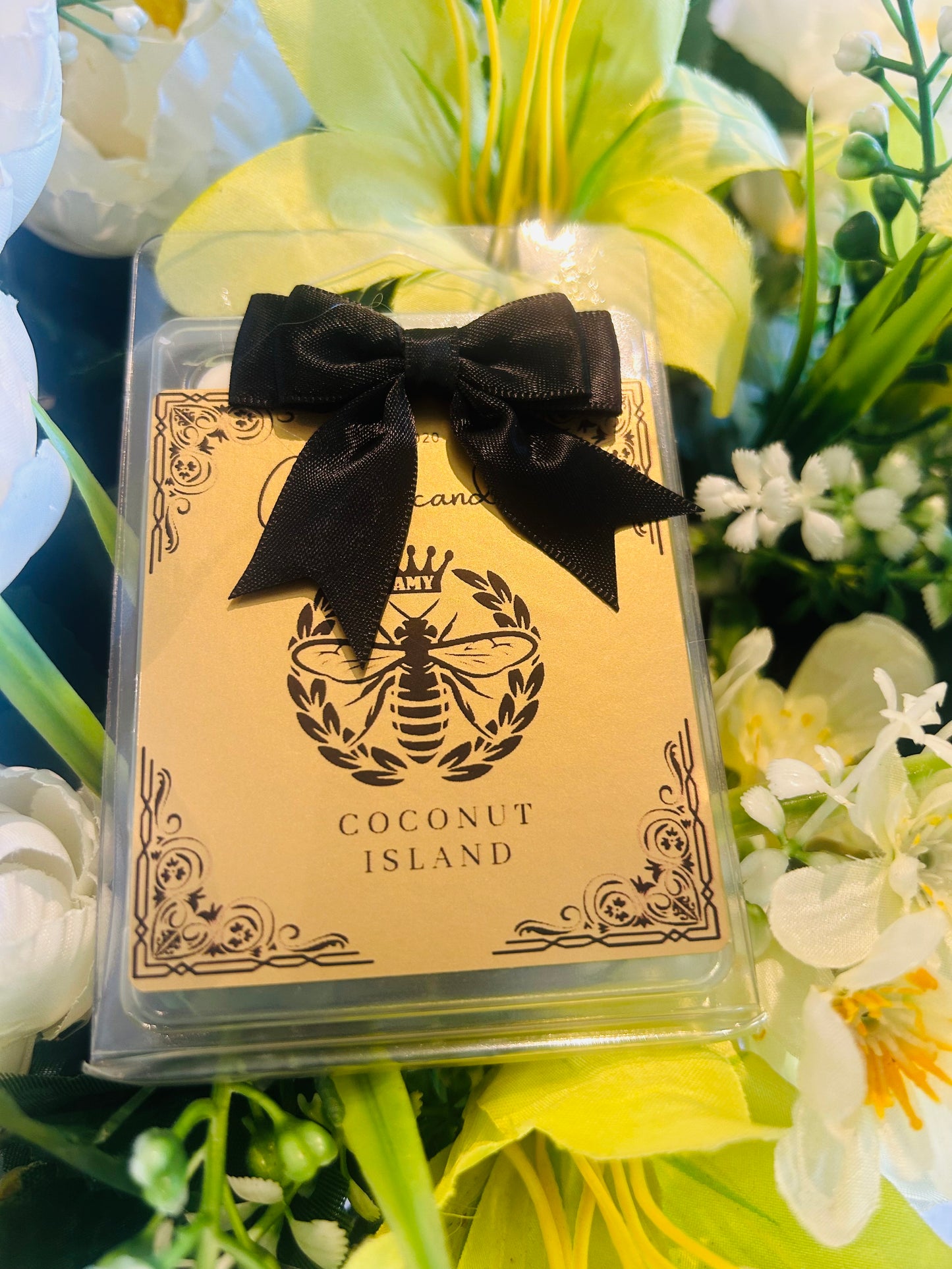 Coconut island six cubed clamshell wax melts