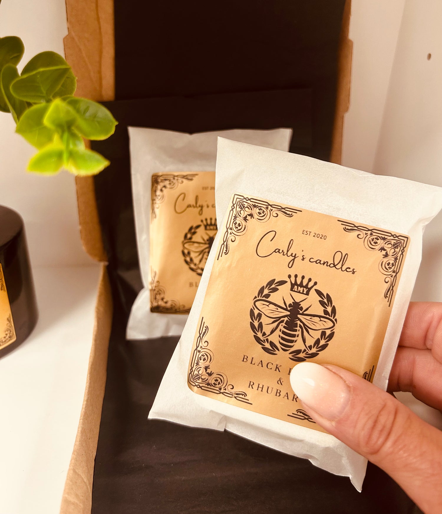 Monthly Subscription boxes- wax melts sent to your door every month, handpicked by us