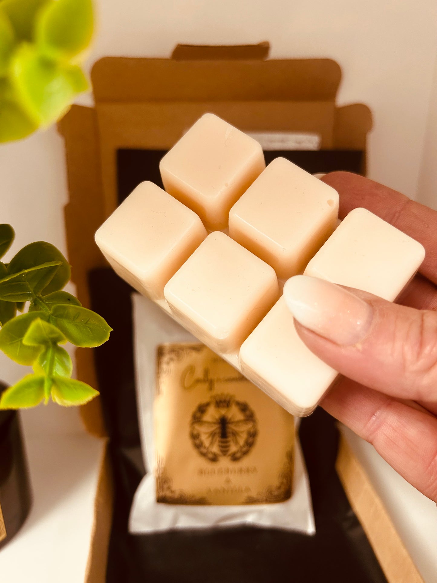 Black Plum & Rhubarb Home Fragrance Bundle – Signature Scent Collection