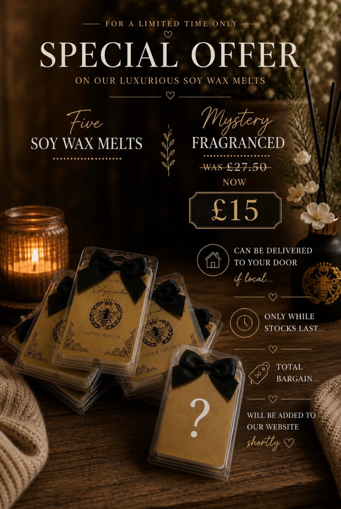Mystery Discounted bundle - soy wax melts
