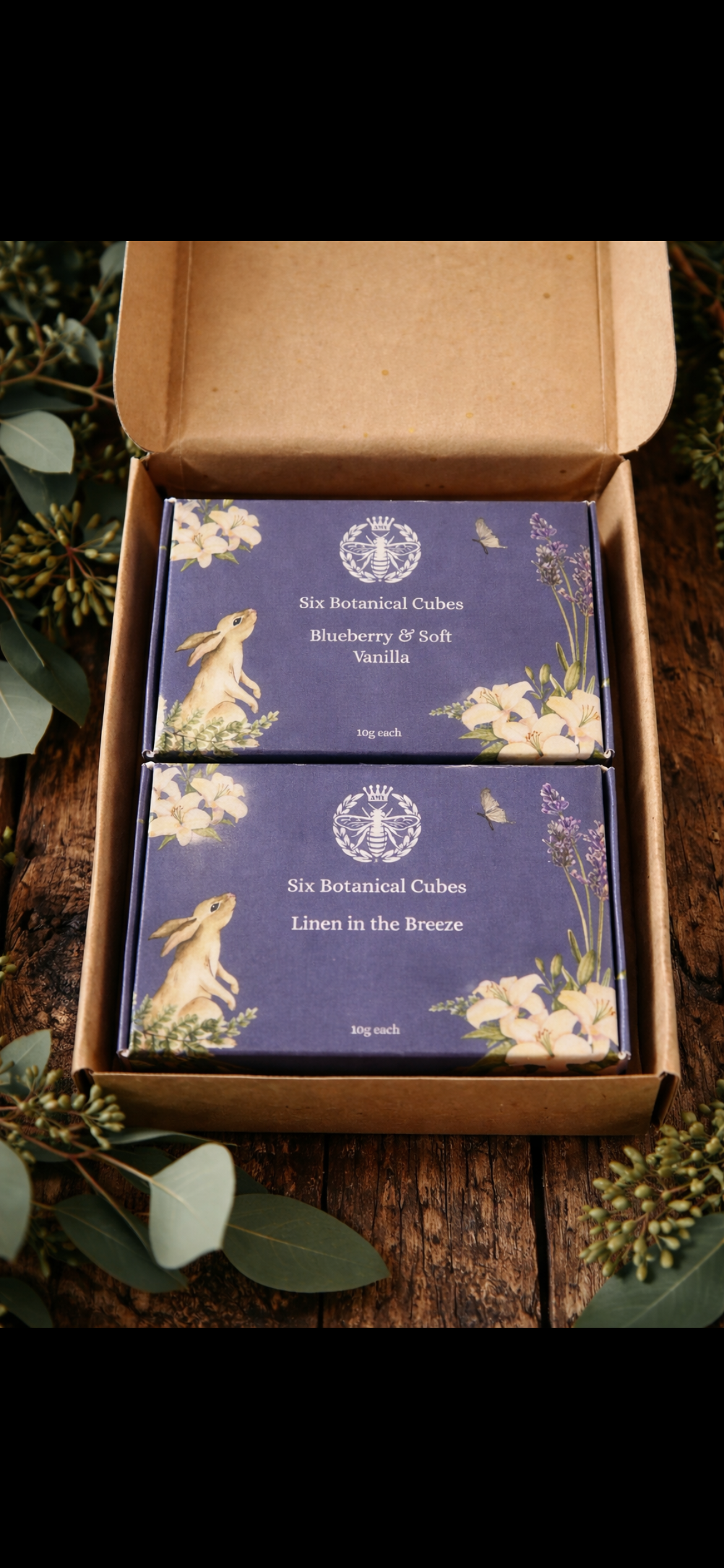 Botanical Wax Melt Discovery Subscription - Duo, 2 Boxes - Carly's candles & wax melts