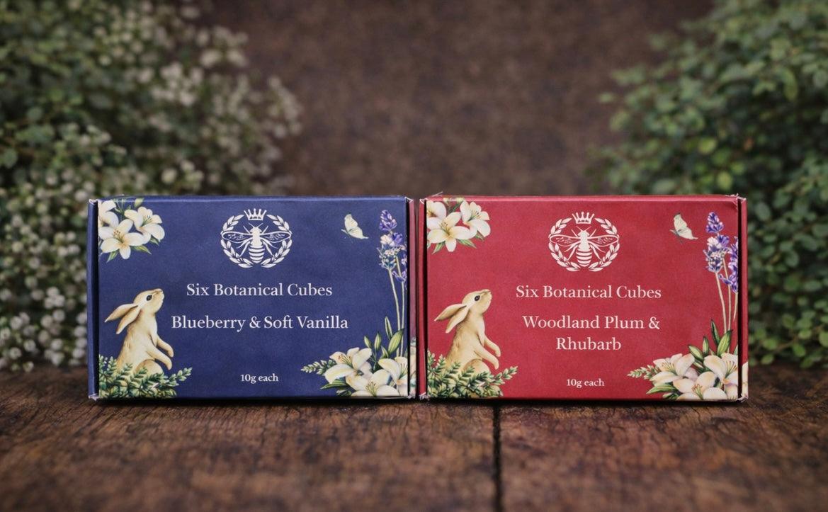 Botanical Wax Melt Discovery Subscription - Duo, 2 Boxes - Carly's candles & wax melts