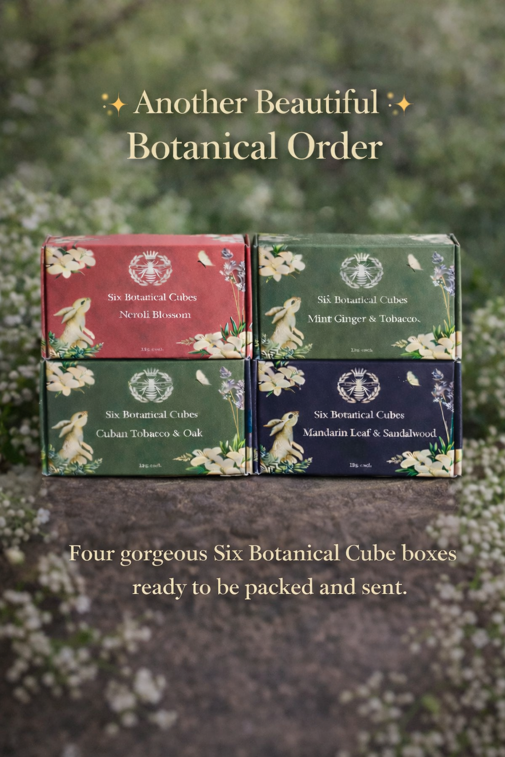 Botanical Wax Melt Discovery Subscription - 4 Boxes - Carly's candles & wax melts