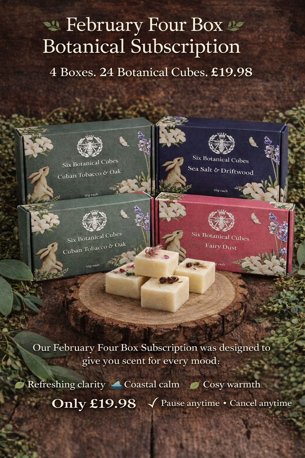 Botanical Wax Melt Discovery Subscription - 4 Boxes - Carly's candles & wax melts