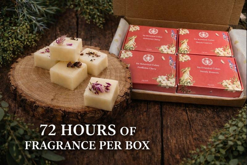 Valentine’s Luxury Botanical Wax Melt Collection – 72 Hours of Fragrance per box