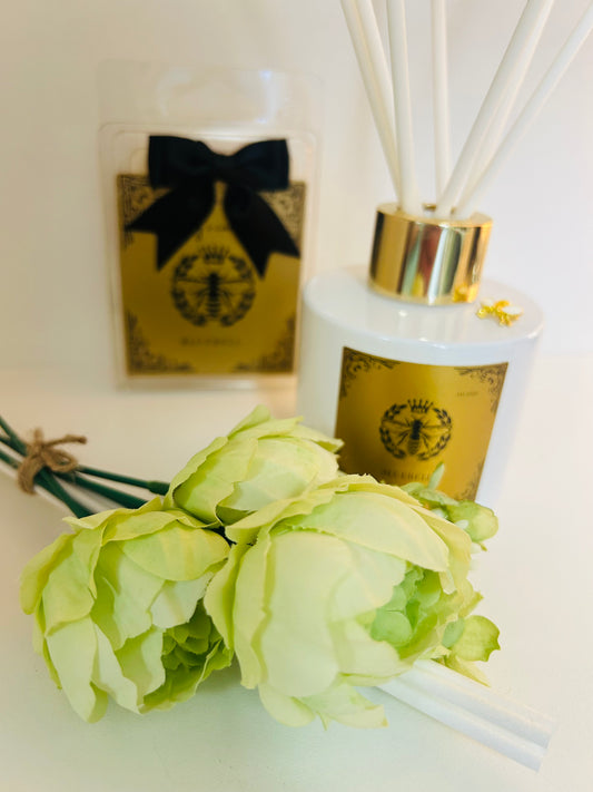 Bluebell fragrance bundle with diffuser and soy wax melts