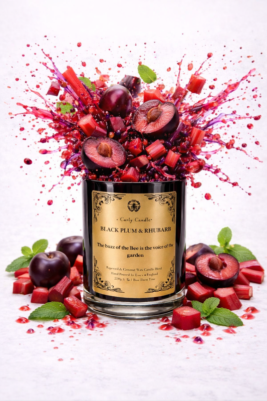 Luxury coconut & rapeseed Candle- Black Plum & Rhubarb - Carly's candles & wax melts