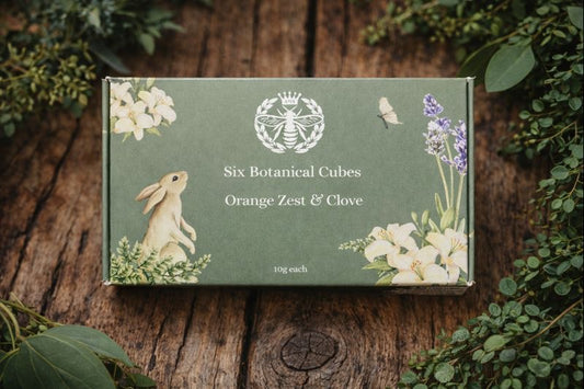 Orange Zest & Clove - Carly's candles & wax melts