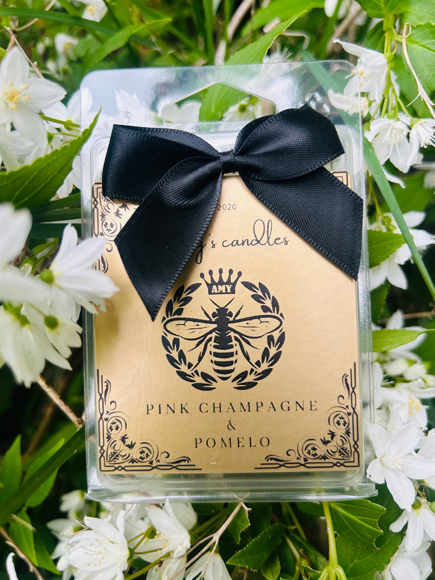 pink fizz & pomelo