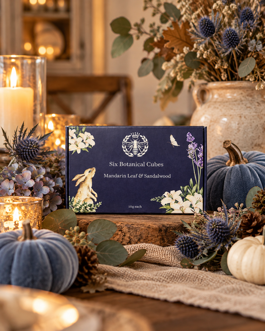 Mandarin & Sandalwood Soy Wax Melts - Carly's candles & wax melts