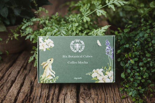 Coffee Mocha - Carly's candles & wax melts