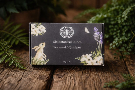 Seaweed & juniper -six cubes - Carly's candles & wax melts