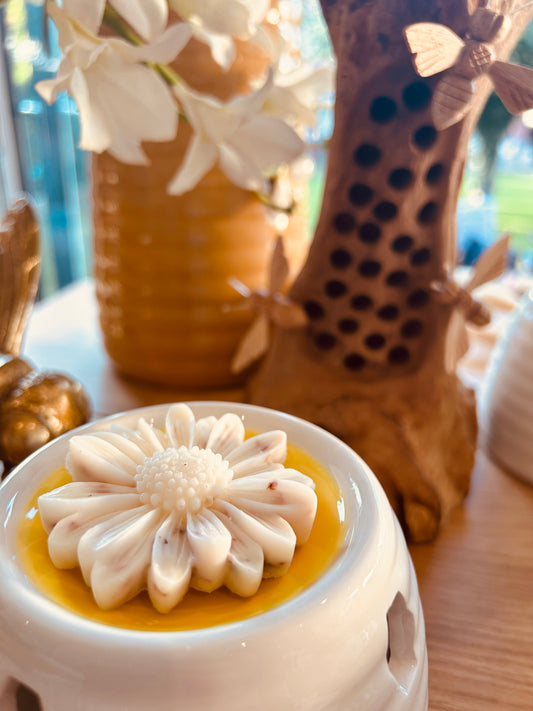 Bee tea light burner gift bag- Gift ideas- Home Fragrance- Strong Fragrances - Carly's candles & wax melts